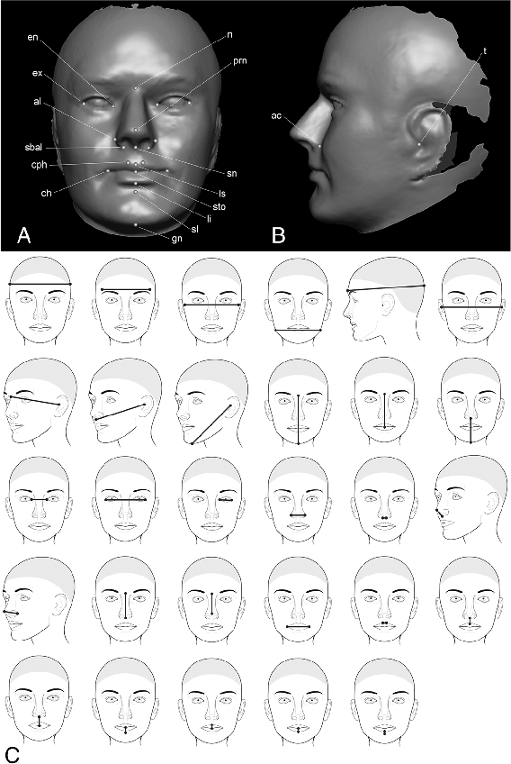 Facial Anthropometric Measurements