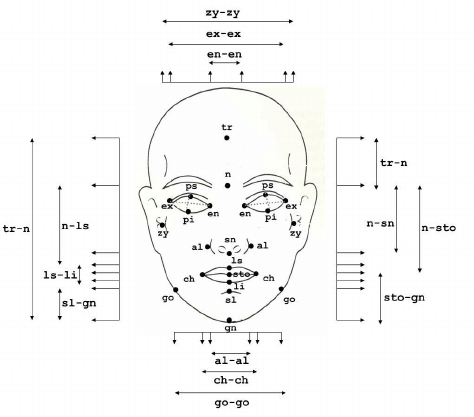 Facial Landmarks Diagram