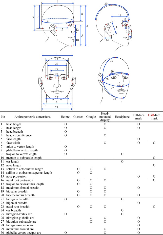 Facial Measurement Points